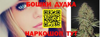 МДПВ Новодвинск