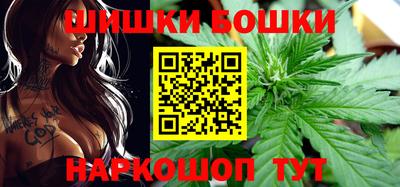 МДПВ Новодвинск