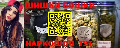 МДПВ Новодвинск