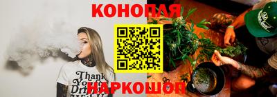 МДПВ Новодвинск