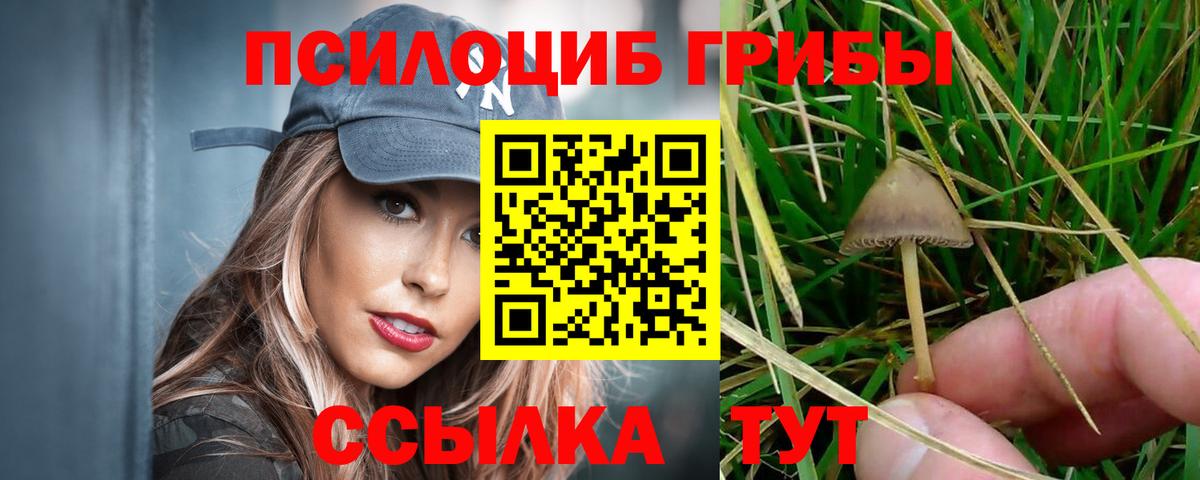 Псилоцибиновые грибы мухоморы  купить наркотик  Псилоцибиновые грибы ЛСД  Арсеньев  Вход с VPN 