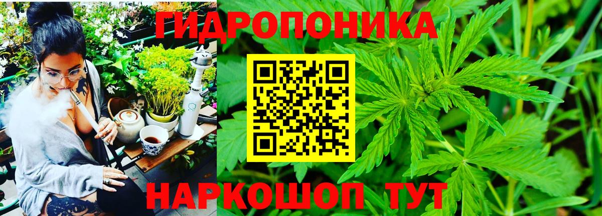 Шишки марихуана AK-47  Вход с VPN  Арсеньев  Бошки Шишки ГИДРОПОН  Канабис семена 